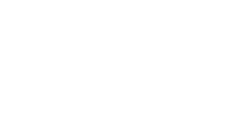 light logo